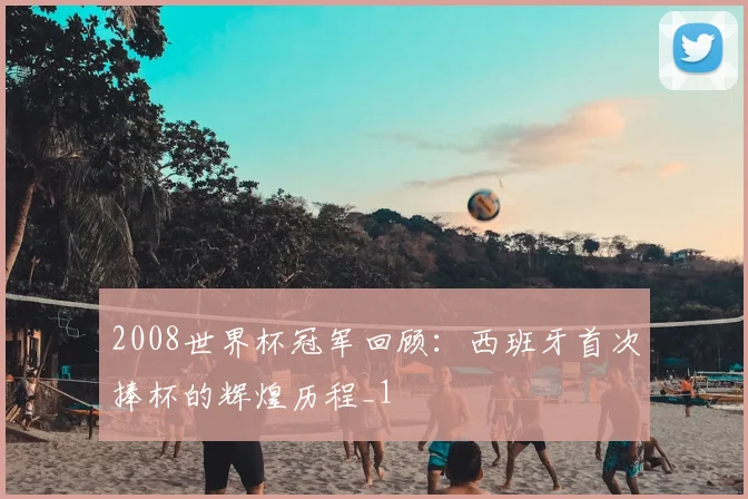 2008世界杯冠军回顾:西班牙首次捧杯的辉煌历程_1